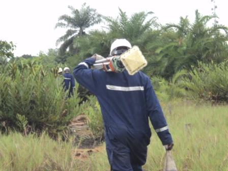 Terrestrial Survey
